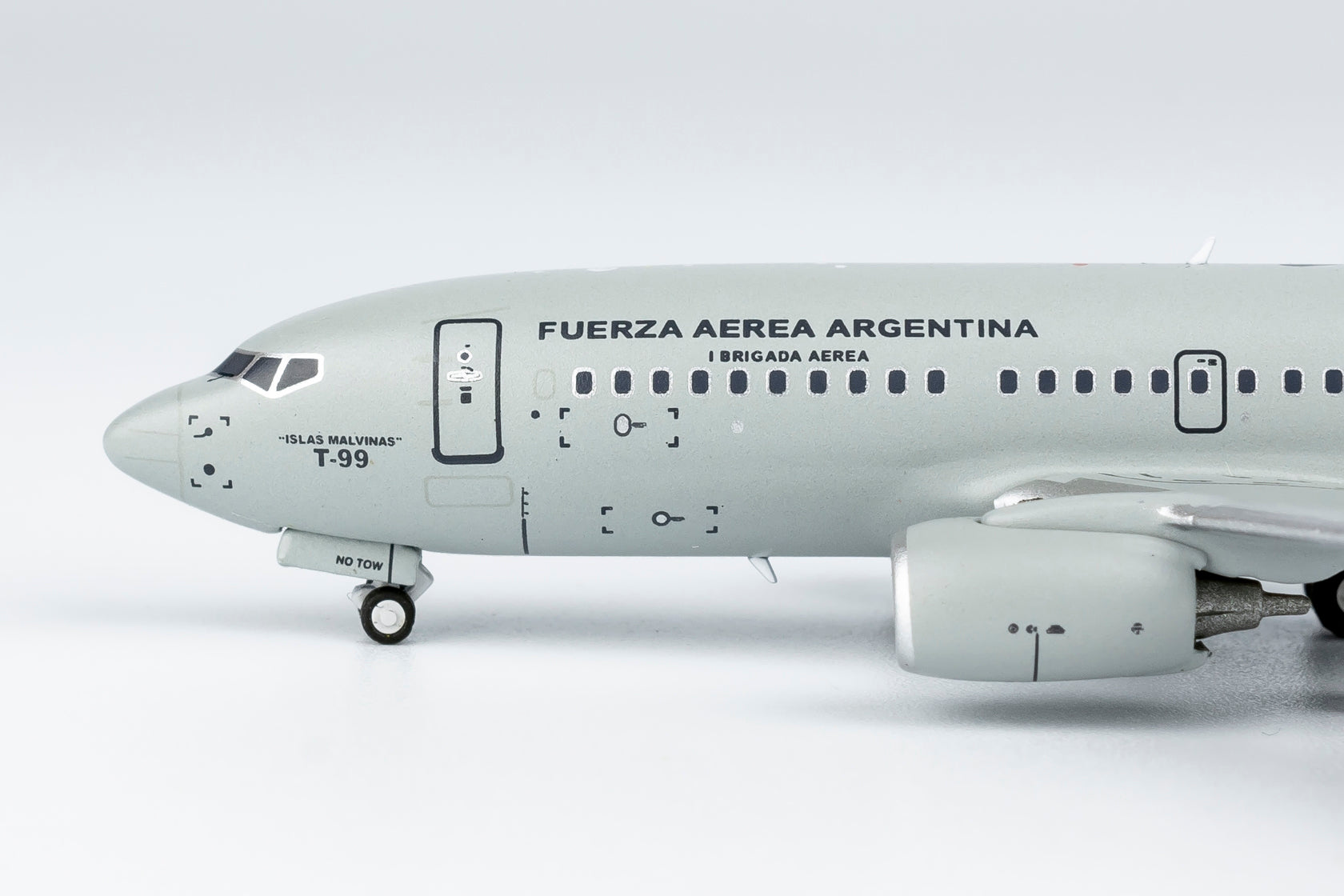 Fuerza Aérea Argentina Boeing 737-700 T-99 (77048)
